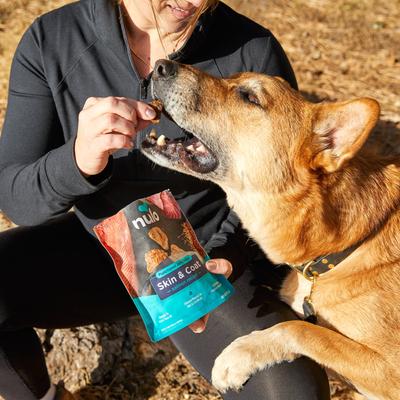 Functional Skin & Coat Salmon Jerky Dog Treats, 5-oz pouch