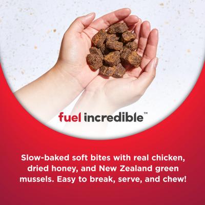 Functional Mobility Chicken Dog Jerky Treats, 5-oz pouch