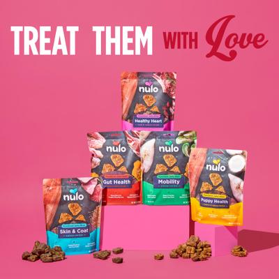 Functional Mobility Chicken Dog Jerky Treats, 5-oz pouch