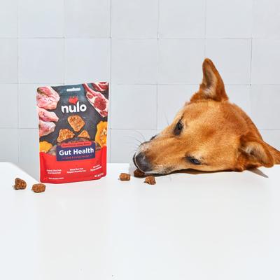 Functional Gut Health Lamb & Turkey Jerky Dog Treats, 5-oz pouch