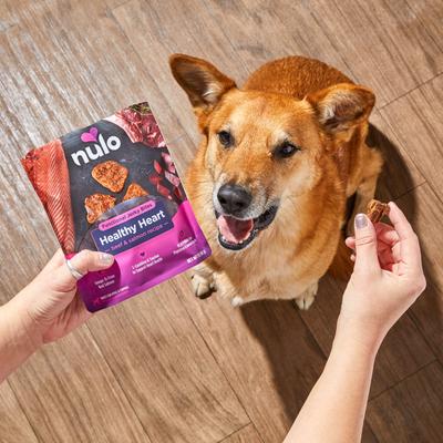Premios funcionales para perros con carne seca de res y salmón para un corazón saludable, bolsa de 5 oz
