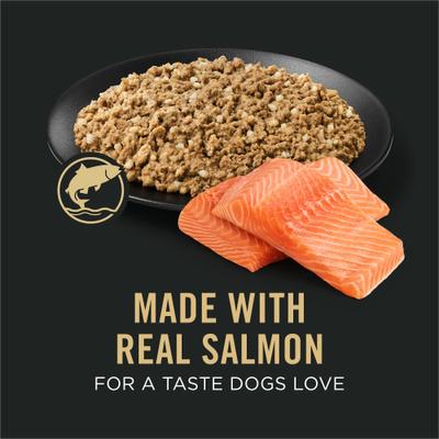 Sensitive Skin & Stomach Pate Salmon & Rice Entree Wet Dog Food, 13-oz can, case of 12