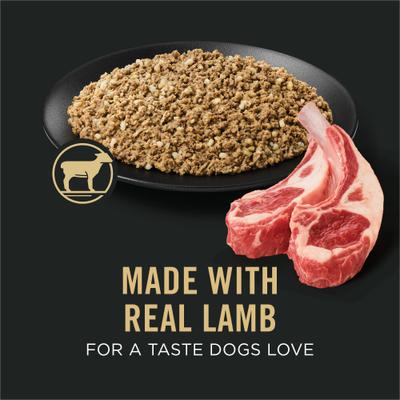 Adult Sensitive Skin & Stomach Lamb & Oat Meal Entree Wet Dog Food, 13-oz can, case of 4