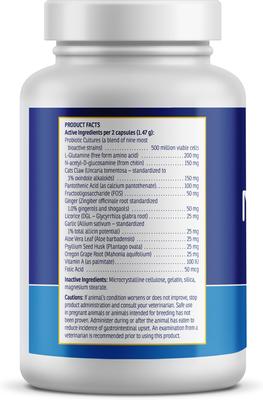 Nutrigest Capsules Digestive Supplement for Cats & Dogs, 90 count
