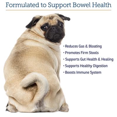 Nutrigest Capsules Digestive Supplement for Cats & Dogs, 90 count