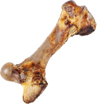 Made in USA Beef Femur Dog Treat, 1 count
