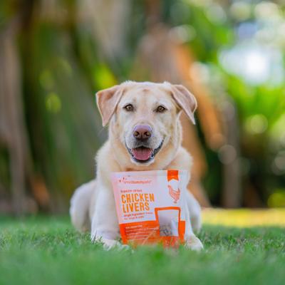 Freeze-Dried Chicken Livers Dog Treat, 3.5-oz bag