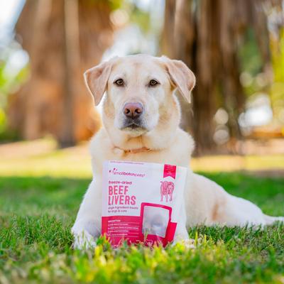 Freeze-Dried Beef Livers Dog Treat, 4-oz bag