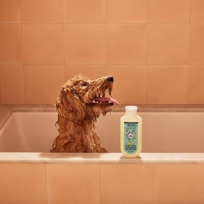 3-in1 Dog Shampoo, Sweet Chamomile, 14-fl oz bottle