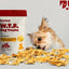 WTF Pumpkin Slices Dog Treats, 6-oz box