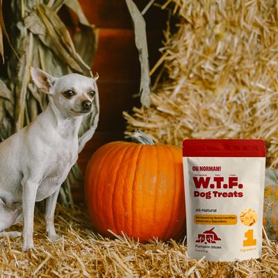 WTF Pumpkin Slices Dog Treats, 6-oz box