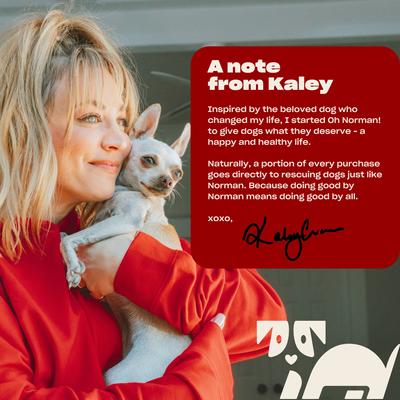 WTF Pumpkin Slices Dog Treats, 6-oz box