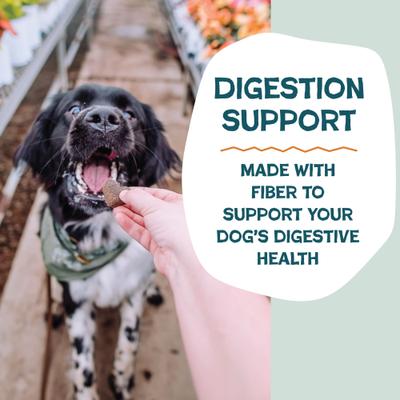 Peanut Butter & Pumpkin Soft Baked Dog Treats, 6-oz bag