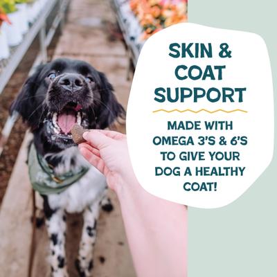 Bacon, Banana, & Peanut Butter Soft Baked Dog Treats, 1-lb bag