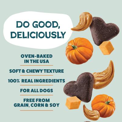 Peanut Butter & Pumpkin Soft Baked Dog Treats, 6-oz bag
