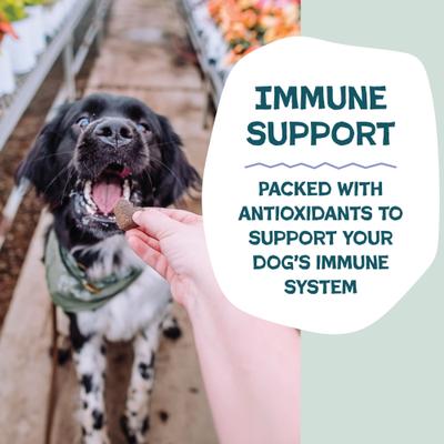 Blueberry & Mint Soft Baked Dog Treats, 6-oz bag