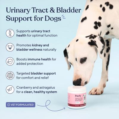 Bacon Flavored Urinary & Bladder Soft Chew Supplement for Dogs, 30 count