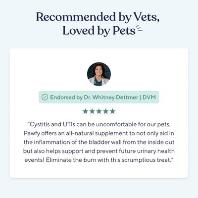 Bacon Flavored Urinary & Bladder Soft Chew Supplement for Dogs, 30 count