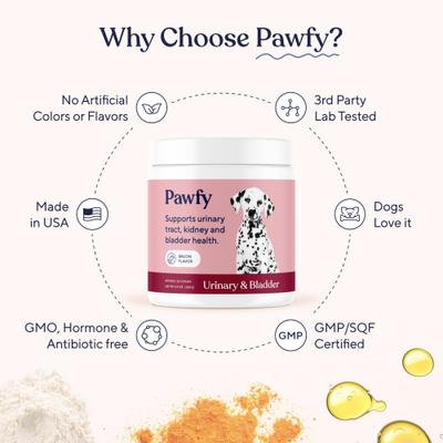 Bacon Flavored Urinary & Bladder Soft Chew Supplement for Dogs, 30 count