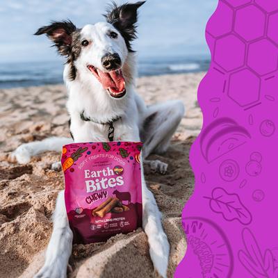 Earthbites Lamb Flavored Grain-Free Soft & Chewy Dog Treats, 7-oz bag
