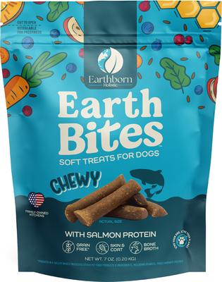 Earthbites Salmon Flavored Grain-Free Soft & Chewy Dog Treats, 7-oz bag