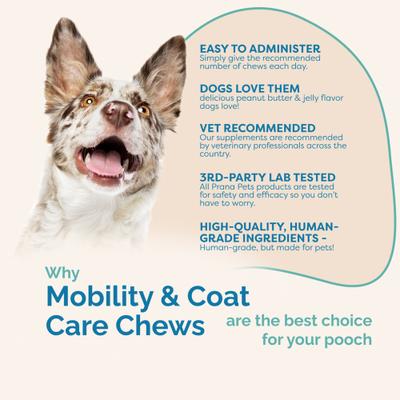 Mobility & Coat Care Chews Joint Supplement for Dogs, 90 count bag