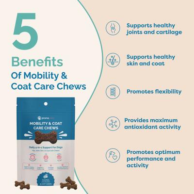 Mobility & Coat Care Chews Joint Supplement for Dogs, 90 count bag