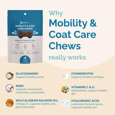 Mobility & Coat Care Chews Joint Supplement for Dogs, 90 count bag