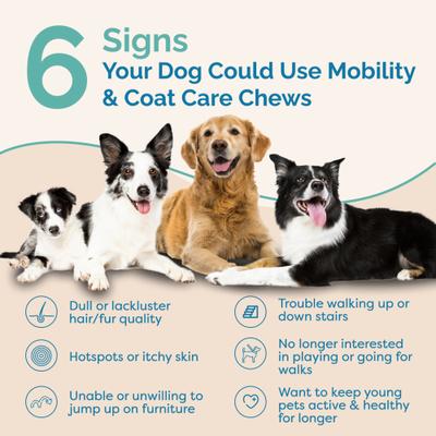 Mobility & Coat Care Chews Joint Supplement for Dogs, 90 count bag