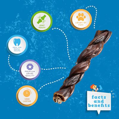Odor-Free Braided Joint Health Beef Gullet Sticks 6-in Dog Chew