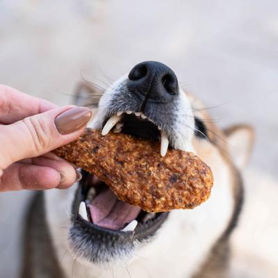 Slow Roasted Chicken Jerky Dog Treats, 16-oz bag