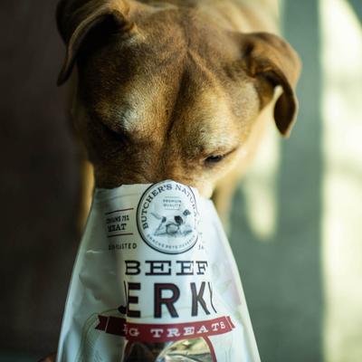 Slow Roasted Beef Jerky Dog Treats, 16-oz bag