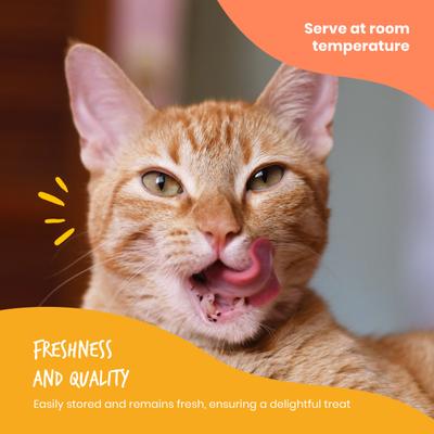 Lickables Salmon Puree Recipe Cat Treat, 1.59-oz bag, case of 12