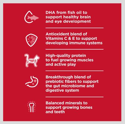 Kitten Healthy Cuisine Tender Chicken & Rice Medley Wet Cat Food, 2.8-oz can, case of 4