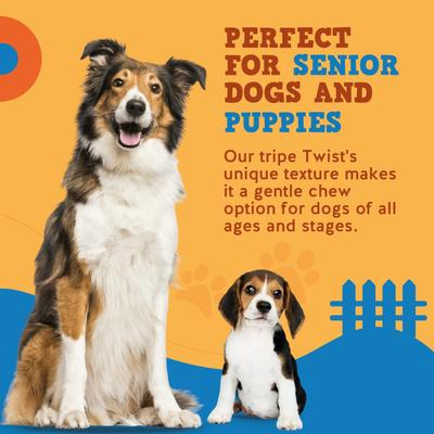 Tripe Twist 6-in Dog Chew