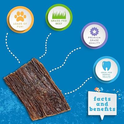 Odor-Free Flat Joint Health Beef Gullet Dog Jerky Treats, 6-oz bag