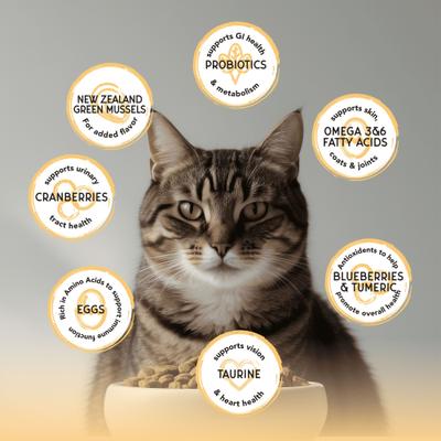 Bounty Grain-Free Chicken & Turkey Recipe Dry Cat Food, 2-lb bag