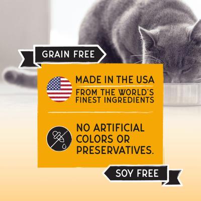 Bounty Grain-Free Chicken & Turkey Recipe Dry Cat Food, 2-lb bag