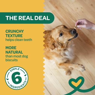 Nature's Biscuits Pumpkin Mini Dog Crunchy Treats, 16-oz bag