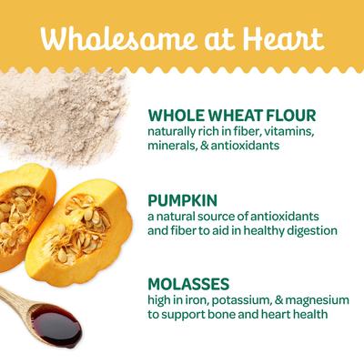 Nature's Biscuits Pumpkin Mini Dog Crunchy Treats, 16-oz bag