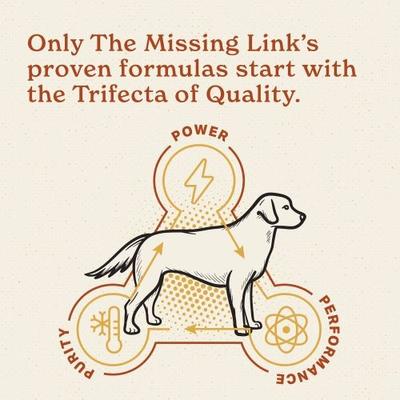 The Missing Link, Digestion Supplement for Dogs & Cats, mezcla de 7 probióticos + prebióticos + jengibre + manzanilla, 454 g.