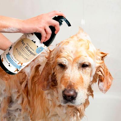 Precious Tails Aloe & Vitamin E Dog & Cat Shampoo, 32-fl oz bottle