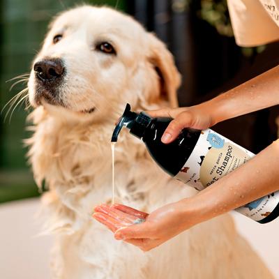 Precious Tails Aloe & Vitamin E Dog & Cat Shampoo, 32-fl oz bottle