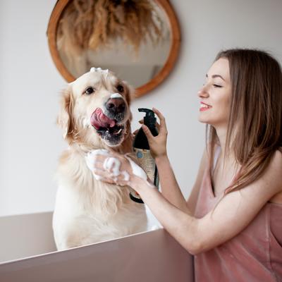 Precious Tails Aloe & Vitamin E Dog & Cat Shampoo, 32-fl oz bottle