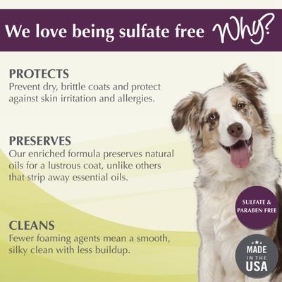 Coconut Cove 4-in-1 Dog Shampoo & Conditioner, 16-fl oz bottle