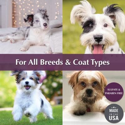 Coconut Cove 4-in-1 Dog Shampoo & Conditioner, 16-fl oz bottle