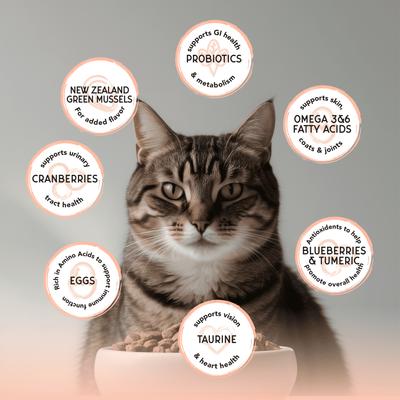 Bounty Grain-Free Salmon & Rainbow Trout Recipe Dry Cat Food, 4.5-lb bag