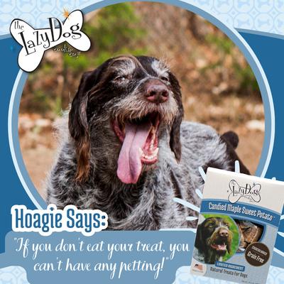 Grain-Free Candied Maple Sweet Potato Limited Ingredient Crunchy Baked Dog Treats, 14-oz box