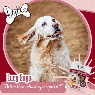 Limited Ingredient Cinnamon Swirled Peanut Butter Crunchy Baked Dog Treats, 14-oz box