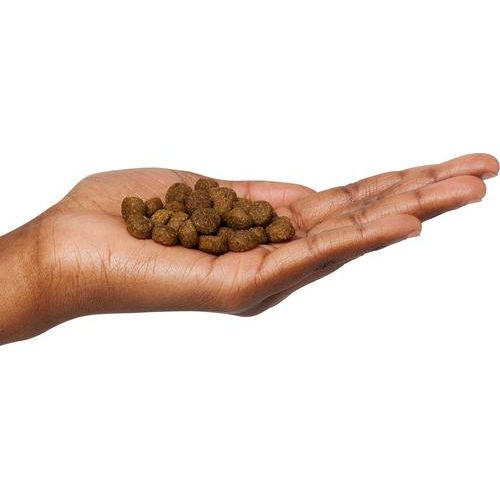 Alimento seco para perros adultos Ocean Catch sin gluten, mariscos y pescado, bolsa de 40 lb